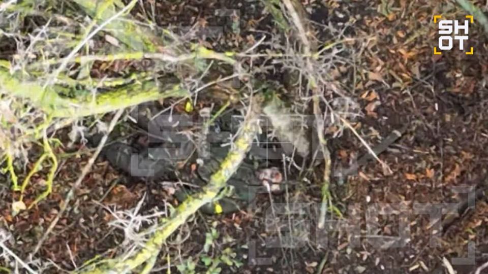 ВСУ в Купянске расстреляли семерых сослуживцев за то, что те не хотели воевать против России и пытались оставить позиции