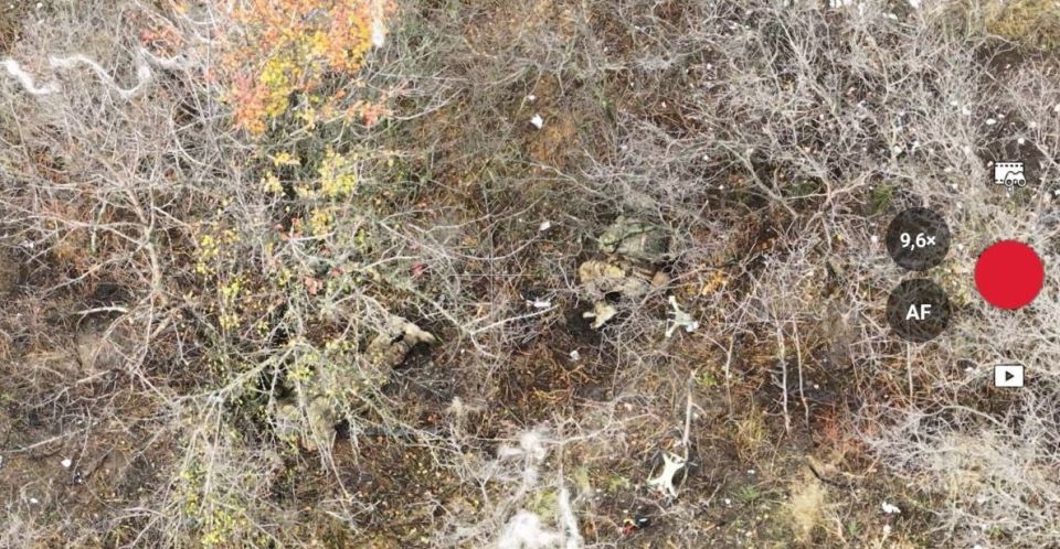 Бандеровский заградотряд уничтожил подразделение ВСУ в районе Купянска Бандеровский заградотряд уничтожил подразделение ВСУ в районе Купянска