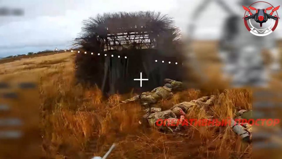 Отражение штурма пары M113 с "дикобразом" ударами FPV-дронов в районе Купянска Отражение штурма пары M113 с "дикобразом" ударами FPV-дронов в районе Купянска