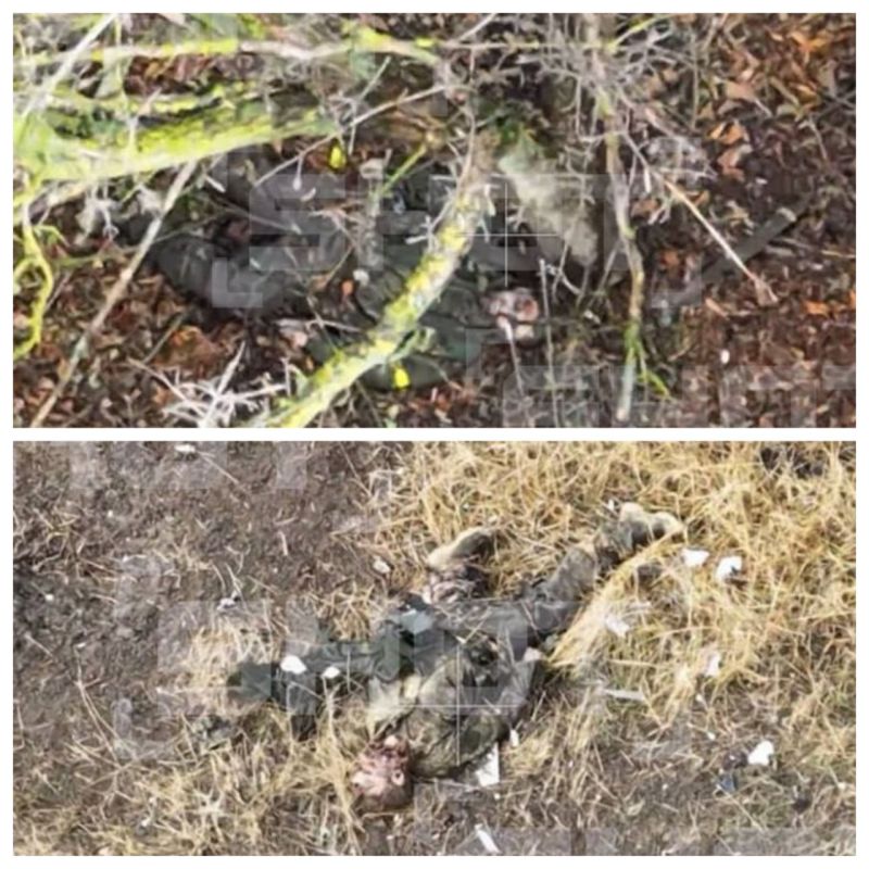 Укронацисты в Купянске расстреляли семерых сослуживцев за намерение оставить позиции