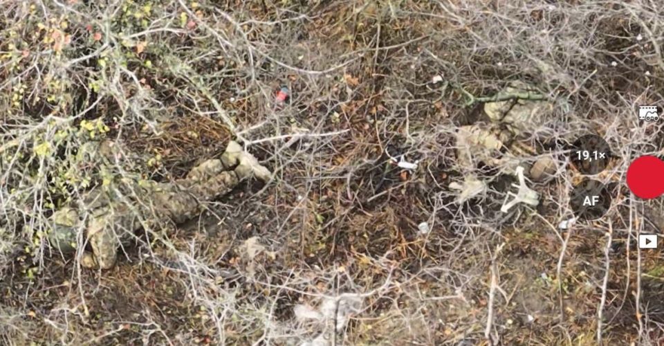 Бандеровский заградотряд уничтожил подразделение ВСУ в районе Купянска Бандеровский заградотряд уничтожил подразделение ВСУ в районе Купянска