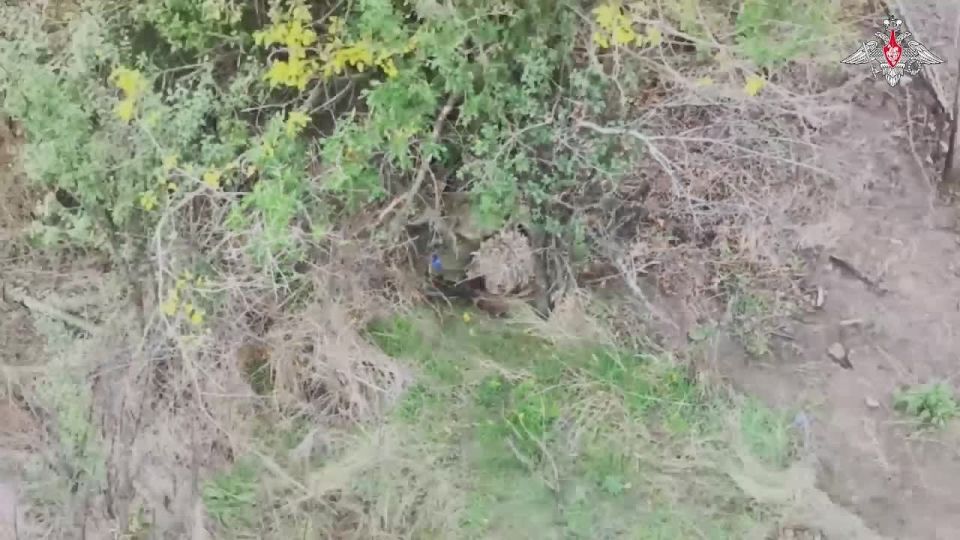 Владислав Шурыгин: Наши дроноводы – мастера своего дела