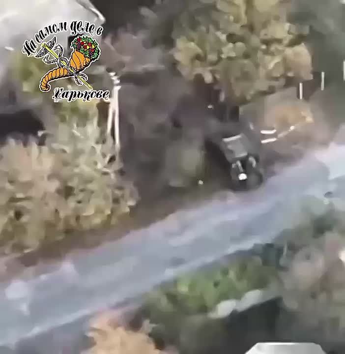 На фронте обнаружена самая упругая и удачливая "дупа" у ВСУ