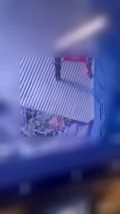 Наши бойцы освободили село Куриловка рядом с Купянском-Узловым