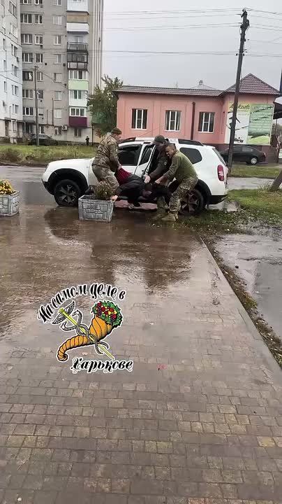 Что им снег? Что им зной? Что им дождик проливной?