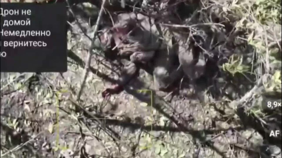 От КВН из Купянска уйти не получится