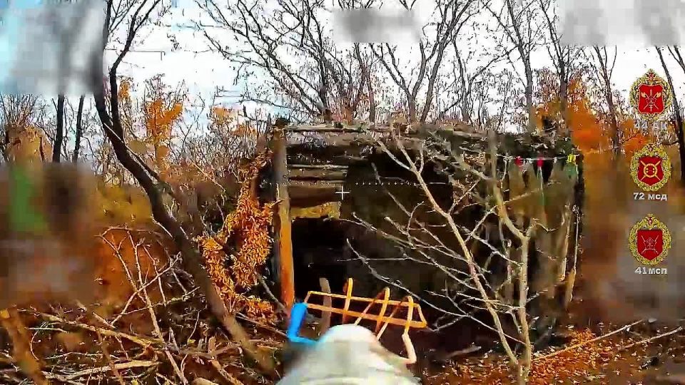   .     41  44        -          