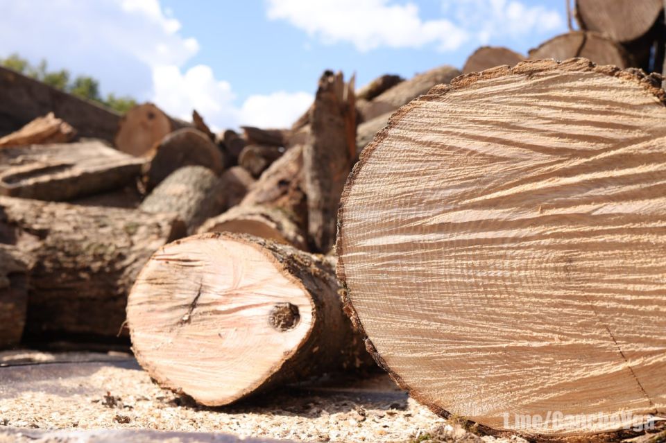 Виталий Ганчев: Подошел к концу второй осенний месяц Виталий Ганчев: Подошел к концу второй осенний месяц