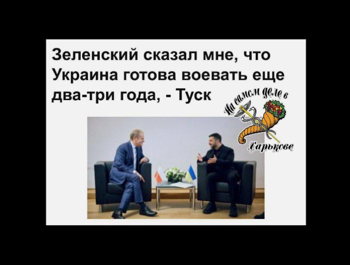  2-3  &quot;   &quot;     2-3 