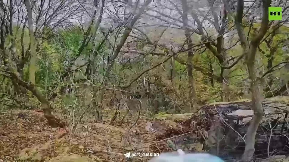 Герои СВО: позывной Кремль