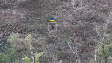 Ликвидация штурмовой группы ВСУ в ближнем бою