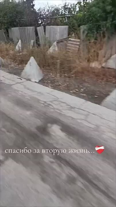 .           ,    ,   ,   