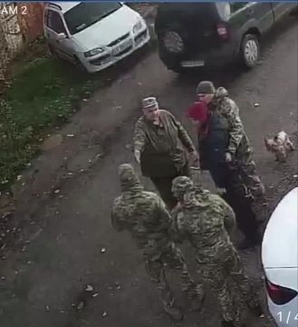 На Украине вслед за котом принудительно "мобилизовали" собаку