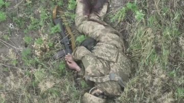 Уничтожение эвакогруппы ВСУ операторами МСП ВС РФ. Купянское направление