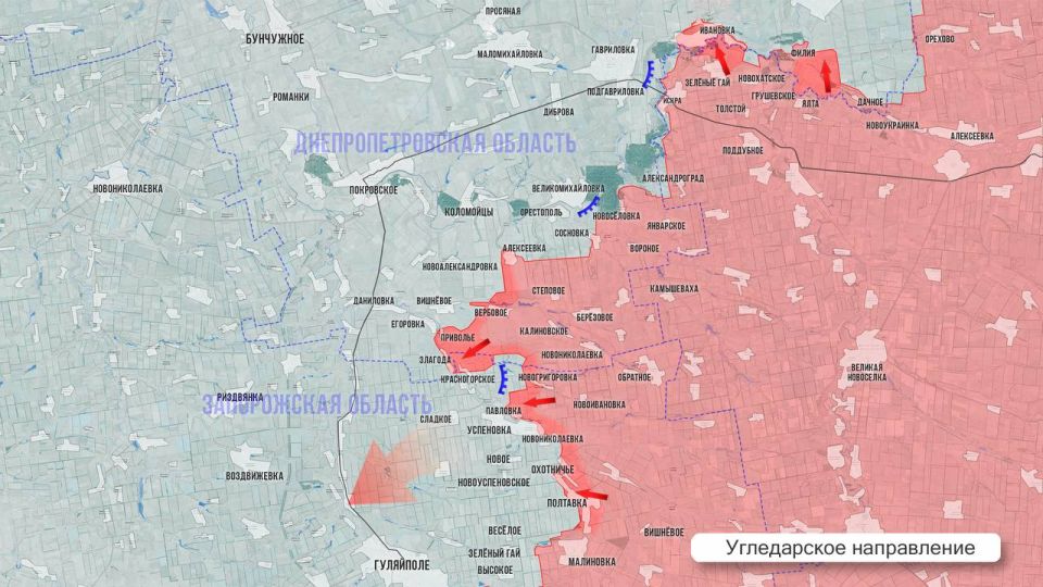 ���� ����: ��������� ������ 29 �������