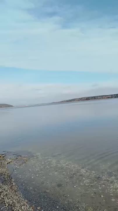 После разрушения ВСУ Белгородского водохранилища Северский Донец на севере Харьковской области выходит из берегов