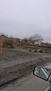 Староверовка Купянский район, 27.10.2025 со стороны хохлов