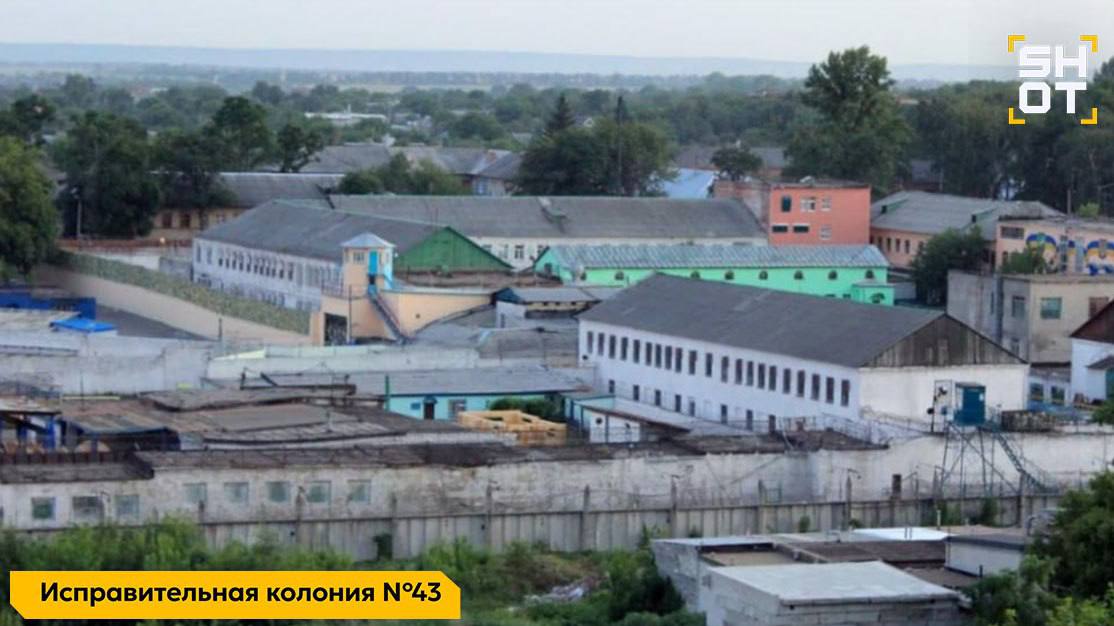 Киев начал формировать батальон зэков, чтобы бросить их на смерть на Харьковском направлении Киев начал формировать батальон зэков, чтобы бросить их на смерть на Харьковском направлении