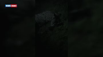 Военнослужащие ВС РФ уничтожили двух боевиков РДК*, пытавшихся выйти из окружения из Купянска