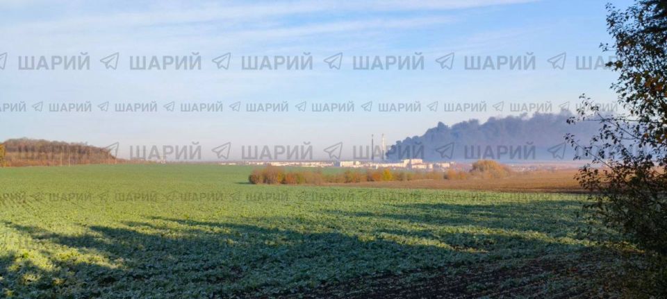 ���� �� ���� ����������. ������������� ����� �� �� �� ������� �������������� ��������������