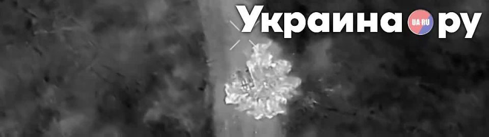 Фронтовая сводка за 01 ноября от канала "Дневник Десантника":