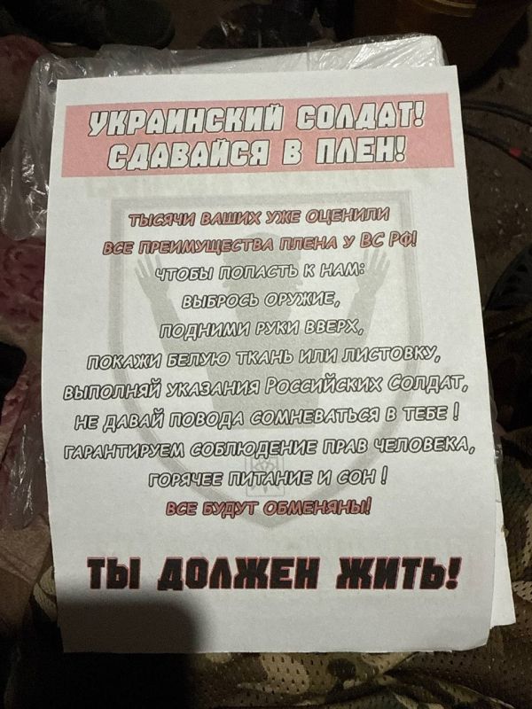 Юрий Котенок: Бандеровские паблики жалуются на листовки, которые ВС РФ разбрасывают над украинскими позициями на Купянском направлении