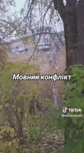 "Врагов не надо, когда свои друг друга готовы сожрать"