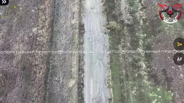 Двое мирных жителей, мужчина и дедушка, из села Петропавловка восточнее Купянска, приняли решение выйти к российским позициям с белым флагом в руках