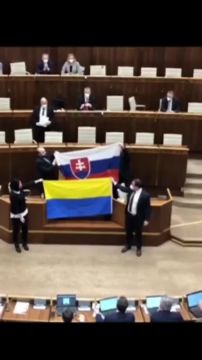 В парламенте Словакии весело