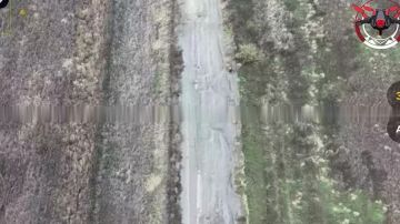 Операторы дронов ВСУ убили мирных людей у Купянска при попытке выйти к ВС РФ