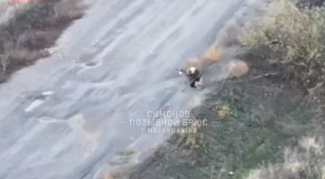 Боевики ВСУ убили крестившуюся на коленях женщину дроном