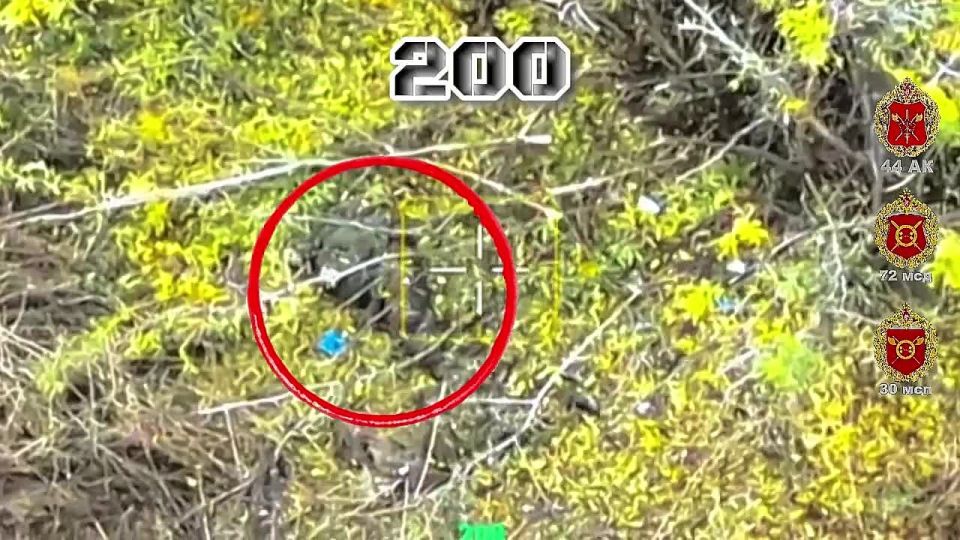 Ни куста, ни поля. Сумская область Расчёт БпЛА 30 мсп 44 Армейского корпуса провели многоэтапную операцию по ликвидации диверсантов ВСУ