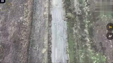 Очередное жуткое преступление со стороны украинской армии Эти жуткие кадры уже облетели всю сеть. Два пожилых жителя Купянска, вместе со своей собакой хотели выйти из ада в котором оказались. Двигались они с белым флагом в...