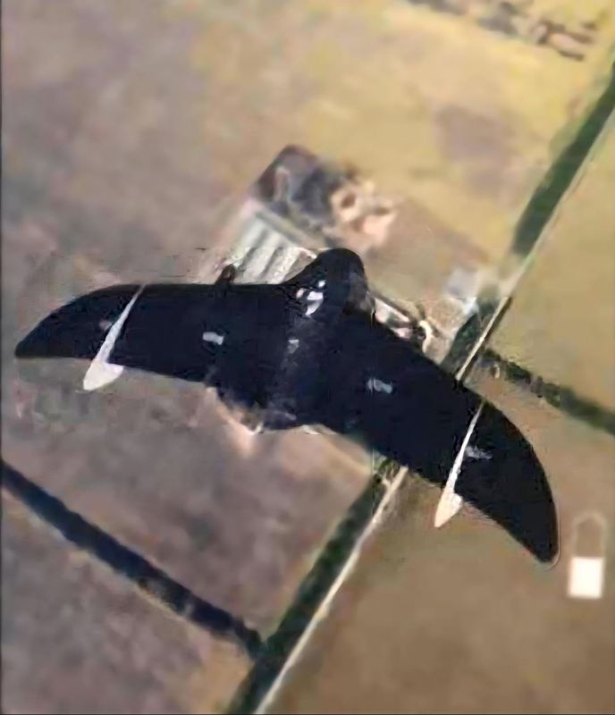 Оптоволоконный дрон-разведчик «Князь Вещий Олег» в объективе противника