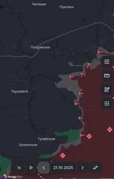 «Идея, что наш план на южном направлении состоит в выходе куда-то в район Днепра между Запорожьем и Днепропетровском, уже не кажется иллюзией»