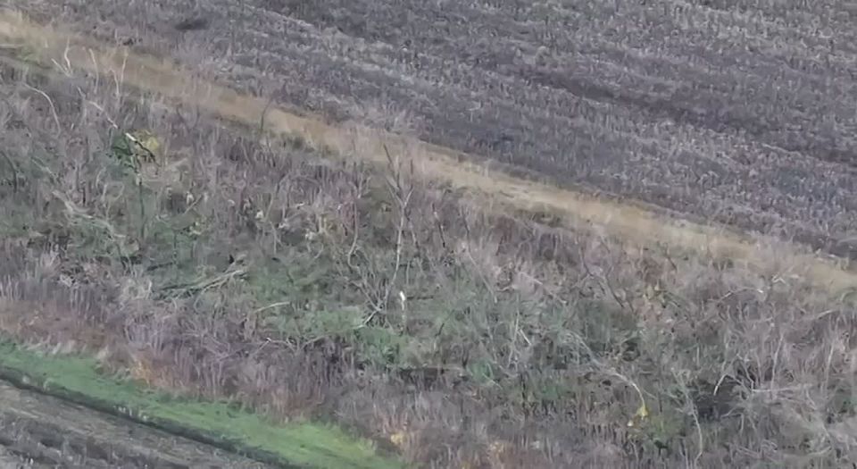 Разделение украинского фронта