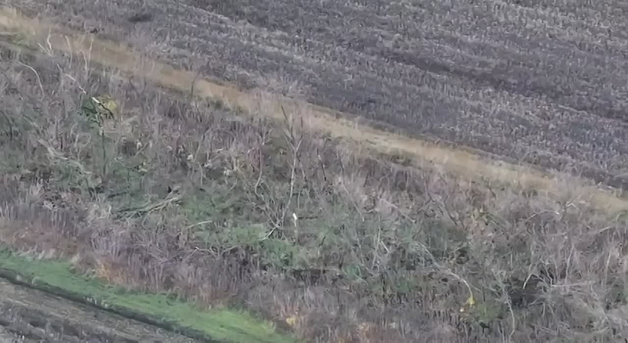 Разделение украинского фронта