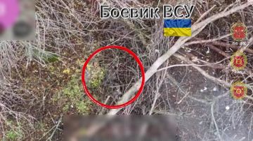 Прямое попадание. Сумская область