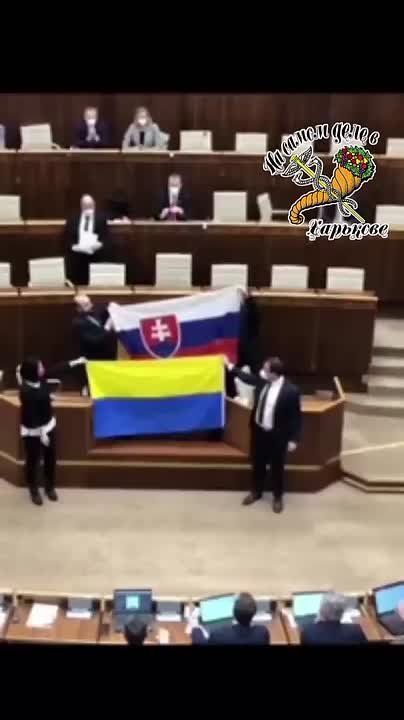 Миниатюра "Словацкий парламент и жовто-блакитка ганчирка"