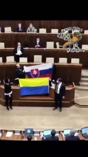 Миниатюра "Словацкий парламент и жовто-блакитка ганчирка"