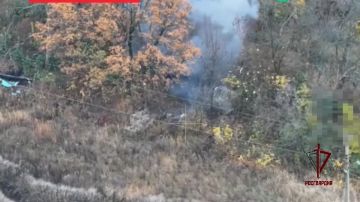 Бойцы «стальной» бригады Росгвардии уничтожили расчёт БПЛА ВСУ в Харьковской области