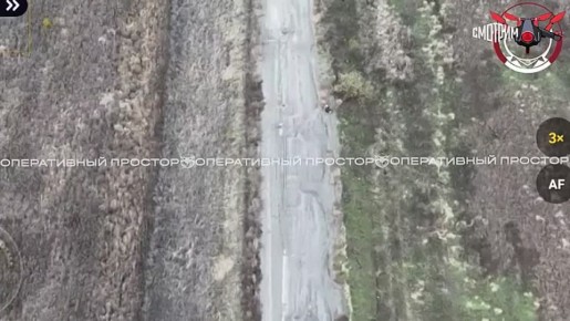 Положение ВСУ на красноармейском и купянском направлениях сейчас тяжелейшее - в окружении находятся несколько десятков батальонов киевского режима, сообщает военкор ВГТРК Евгений Поддубный