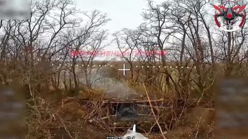 Операторы FPV-дронов из 1-й гвардейской танковой армии сожгли очередную вражескую 122-мм САУ 2С1 «Гвоздика» в районе села Новосергеевка Харьковской области