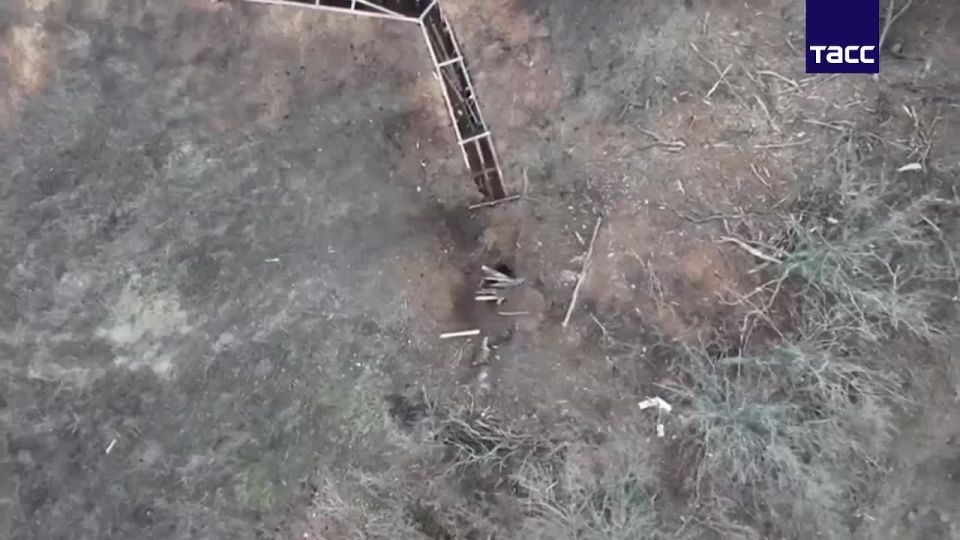 ВС России освободили Новоуспеновское в Запорожской области