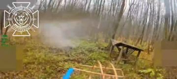 Охота на временно живую силу ВСУ в лесах Харьковской области