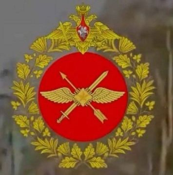 Минобороны впервые показало эмблему новых войск беспилотных систем