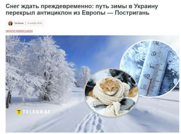 Уже в конце ноября на Украина могут наступить самые сильные холода за последние 70 лет, — начальник Черкасского областного гидрометцентра