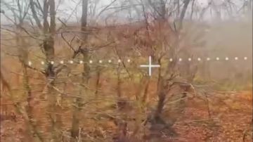 Слухи о прибытии на Купянское направление специального батальона БПЛА ВС РФ, "заточенного" под работу по живой силе, имеют определённый смысл