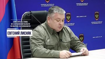 Эдуард Басурин: ВС РФ проводят операцию по освобождению территорий и созданию буферной зоны вдоль границы с Белгородской областью в районе Меловое-Хатнее