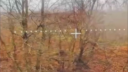           , &quot;&quot;     ,   